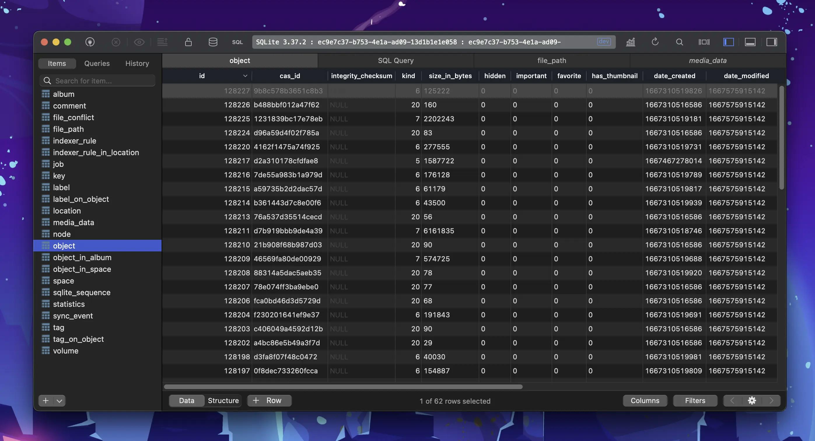 A Spacedrive library database file open in Table Plus